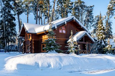 photo 698994bb141f7_thumb.jpg