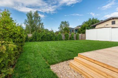 photo 68a6e0e11c9b4_thumb.jpg