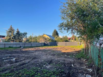 photo 68ad9bdf8e00a_thumb.jpg