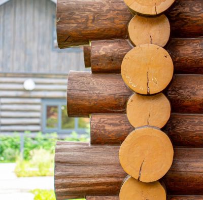 photo 12220_12210_6890d14c1c388_thumb.jpg