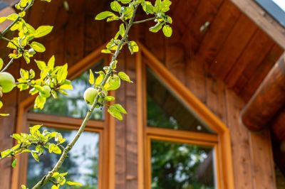 photo 12220_12210_6890d150e78a5_thumb.jpg