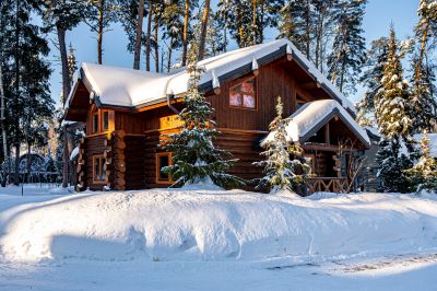 photo 698b1c6001f24_thumb.jpg