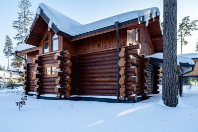 photo 698b1c7b07313_thumb.jpg