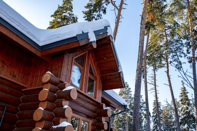 photo 698b1c8d9e833_thumb.jpg