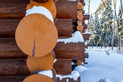 photo 698b1c8ed715d_thumb.jpg