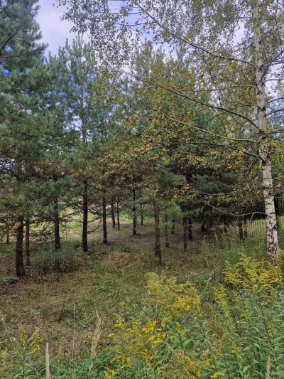 photo 68c004987d192_thumb.jpg