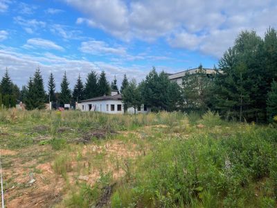 photo 68c0049c21e64_thumb.jpg