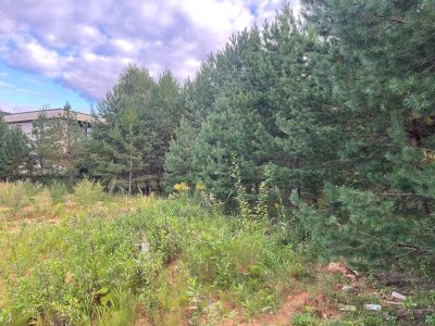 photo 68c0049d77db1_thumb.jpg