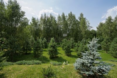 photo 68d2a2ce33323_thumb.jpg