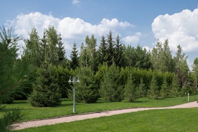 photo 68d2a2ce78f37_thumb.jpg