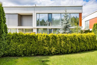 photo 68c803691a7bf_thumb.jpg