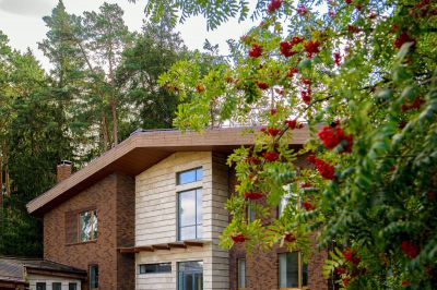 photo 68c92f14ad549_thumb.jpg