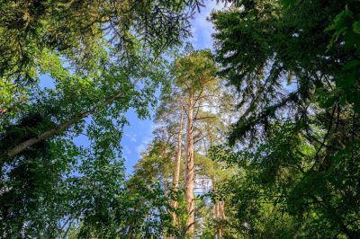 photo 68c92f3e1b756_thumb.jpg