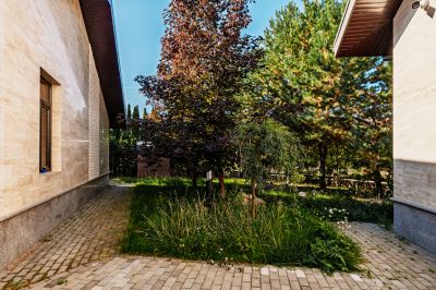 photo 68c9559c11d0b_thumb.jpg