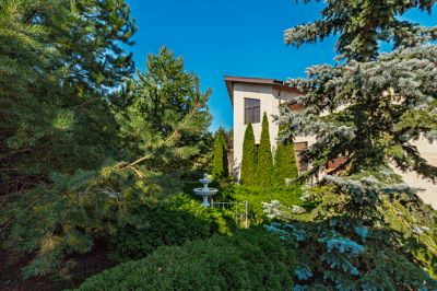 photo 68c955aa746a6_thumb.jpg