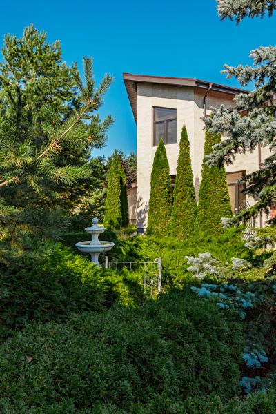 photo 68c955ab19037_thumb.jpg