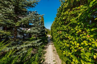 photo 68c955ac5afe0_thumb.jpg