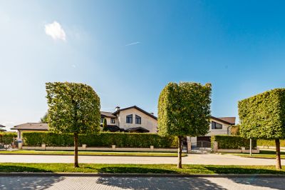 photo 68c955c84a077_thumb.jpg