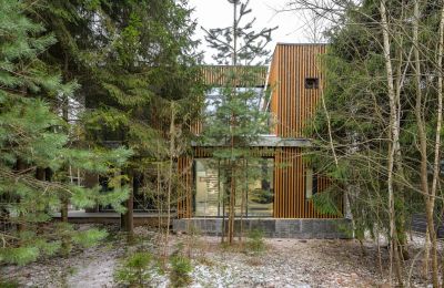 photo 68cabbe5124ab_thumb.jpg