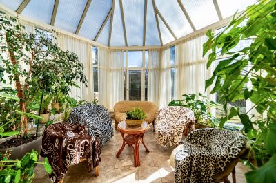 photo 68ca678f7a307_thumb.jpg