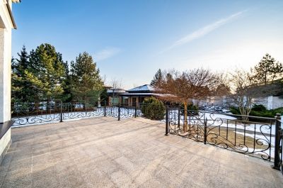 photo 68ca86c2d7393_thumb.jpg