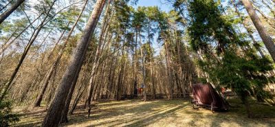 photo 68ca8d9bc3cf8_thumb.jpg