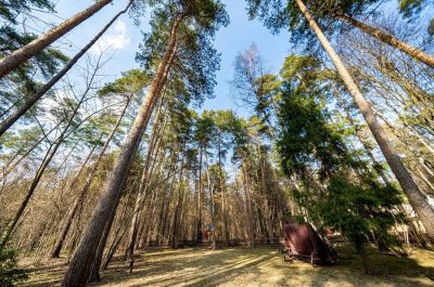 photo 68ca8d9c9aac3_thumb.jpg