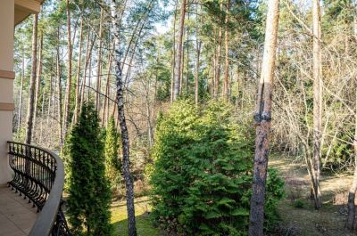 photo 68ca8da8b704a_thumb.jpg