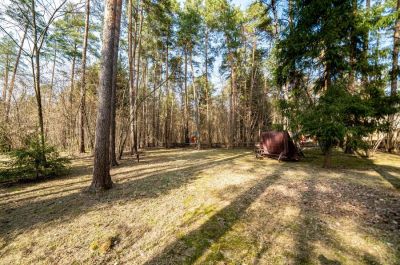 photo 68ca8dbb550d0_thumb.jpg