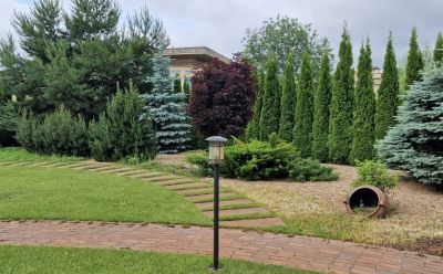 photo 68caa272e76de_thumb.jpg