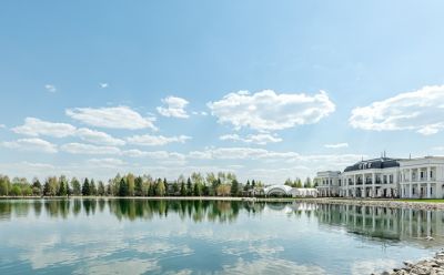 photo 68caa2752a7af_thumb.jpg