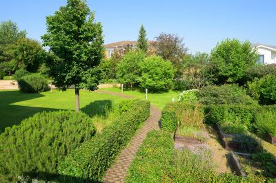 photo 68cac5e0814ef_thumb.jpg