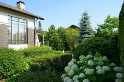 photo 68cac603cb6a2_thumb.jpg