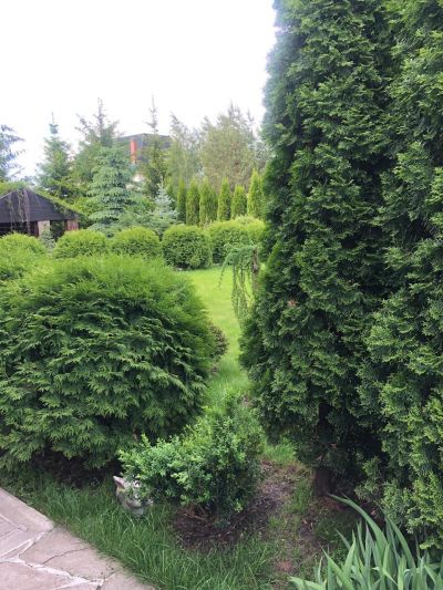 photo 68cb1101338da_thumb.jpg