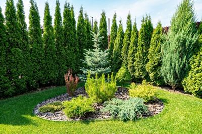 photo 68cbe091e3f36_thumb.jpg