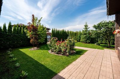 photo 68cbe0b769c48_thumb.jpg