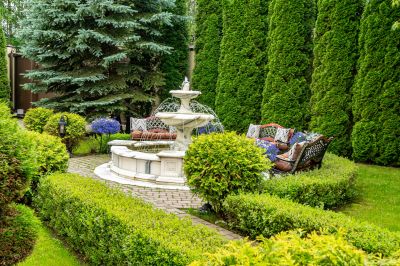 photo 68cbecd927164_thumb.jpg