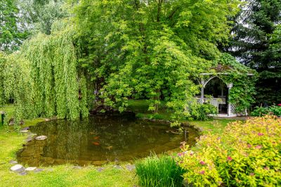 photo 68cbed124d2a2_thumb.jpg