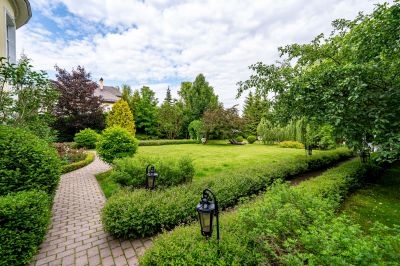 photo 68cbed19054f4_thumb.jpg