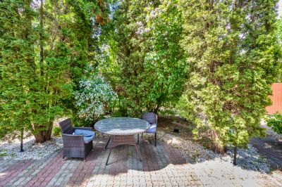 photo 68cbf2a34d7a6_thumb.jpg