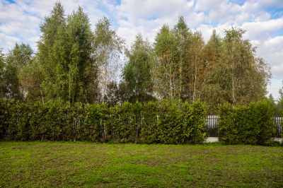 photo 68d23e684635a_thumb.jpg