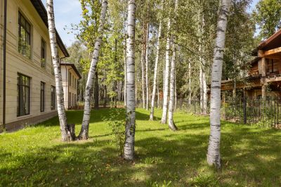 photo 68d14f38bbfd7_thumb.jpg