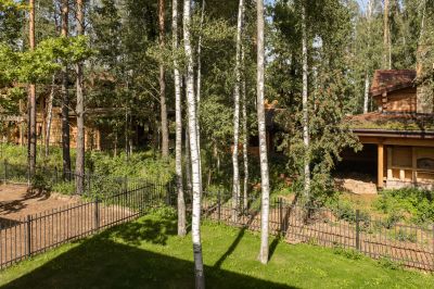 photo 68d1516e988ea_thumb.jpg