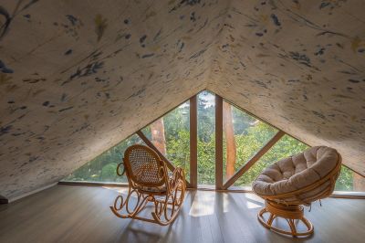 photo 68d25d4065689_thumb.jpg