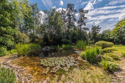 photo 68d25d422c990_thumb.jpg