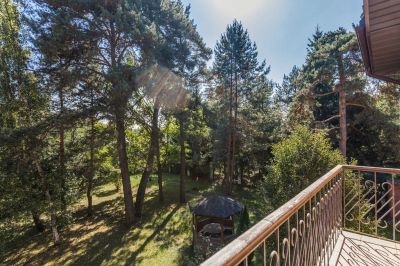 photo 68d25bdcb3c01_thumb.jpg