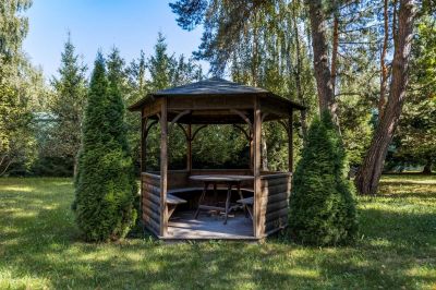 photo 68d25beb83339_thumb.jpg