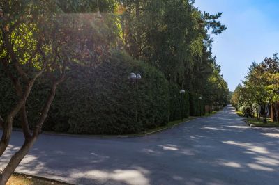 photo 68d25bebc2916_thumb.jpg