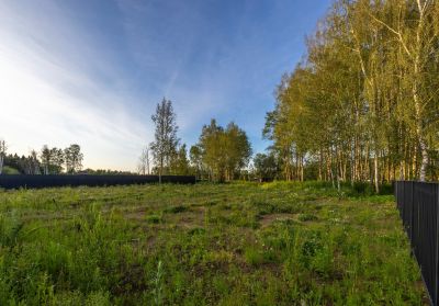 photo 68d25f292cdd3_thumb.jpg