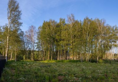 photo 68d25f29be47e_thumb.jpg